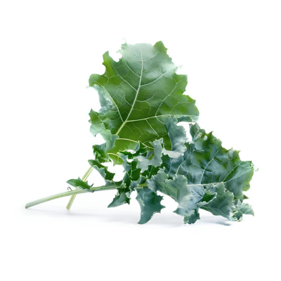 Fræeiningar