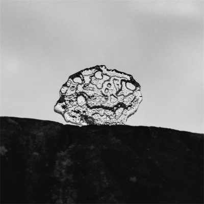 Framreiðsluplattar
