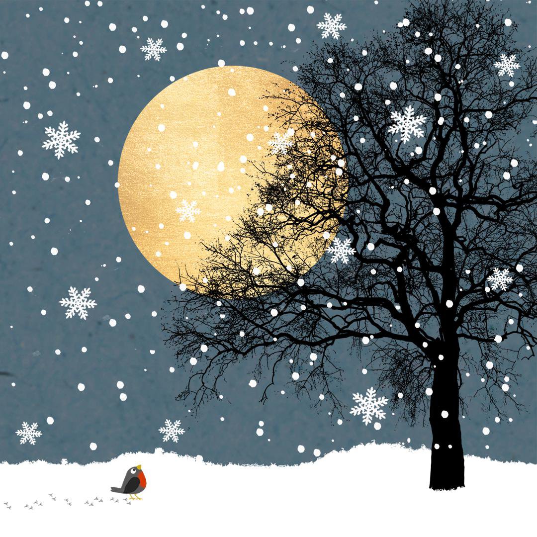 Image of Braun Company Servíettur 3laga 20stk 33x33cm Moonlight night