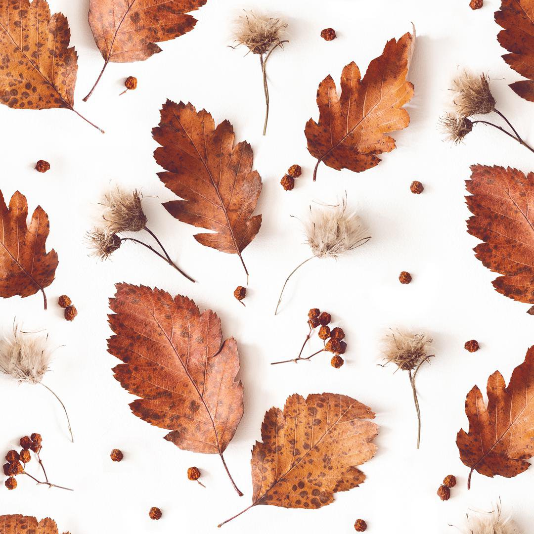 Image of Braun Company Servíettur 3laga 20stk 33x33cm Soft autumn