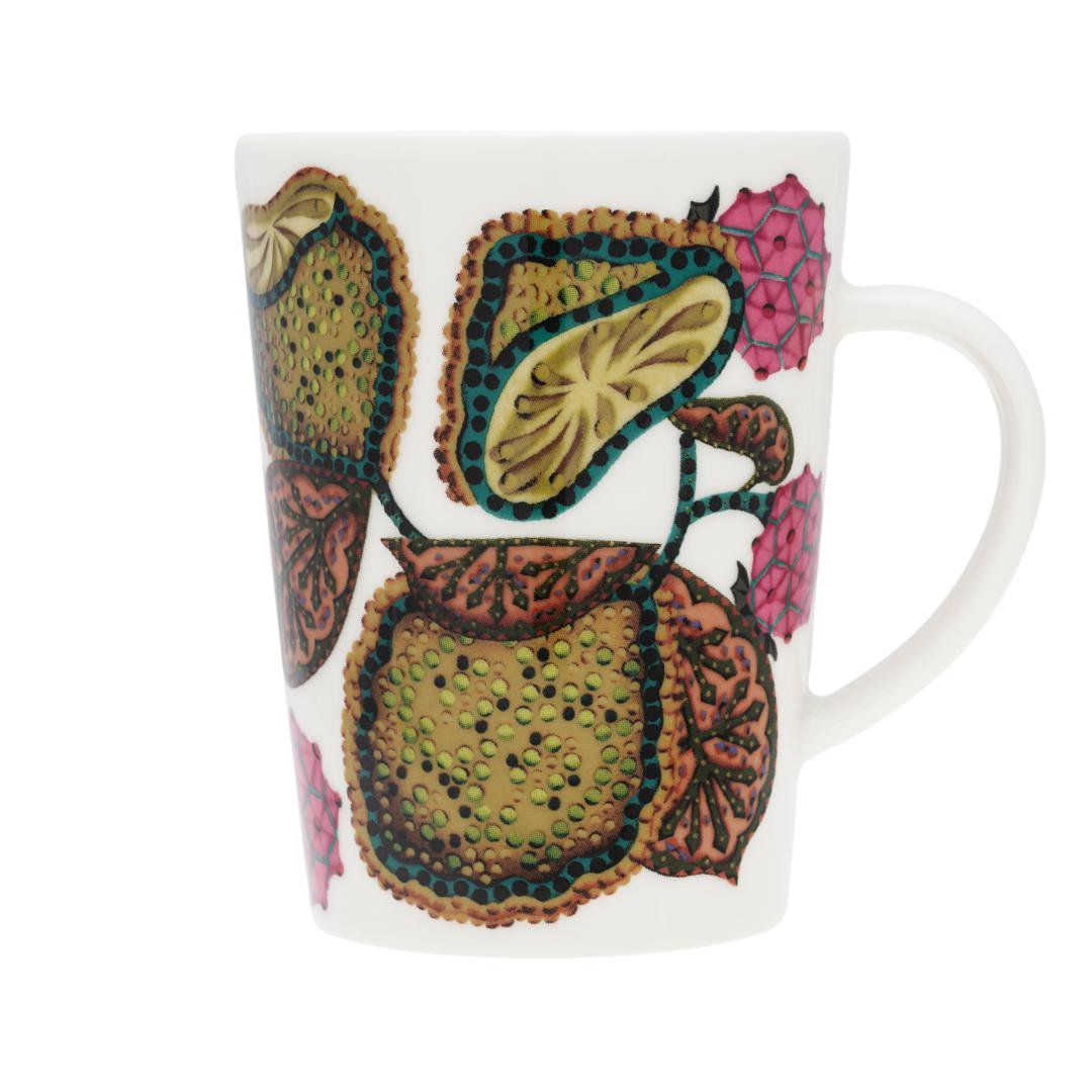 Image of iittala Taika krúsir 0,3ltr