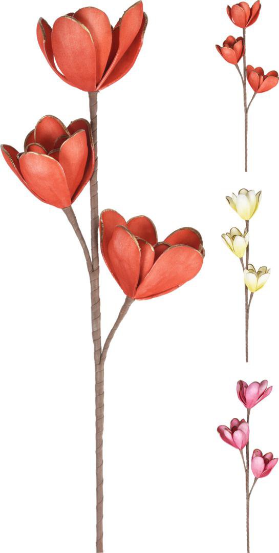 Image of Skrautgrein Magnolia 80cm 3mism litir