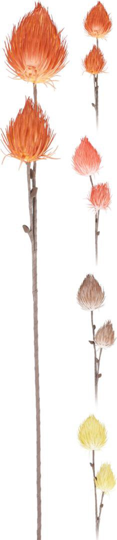 Image of Skrautgrein Chrysanthemum 74cm 4mism litir