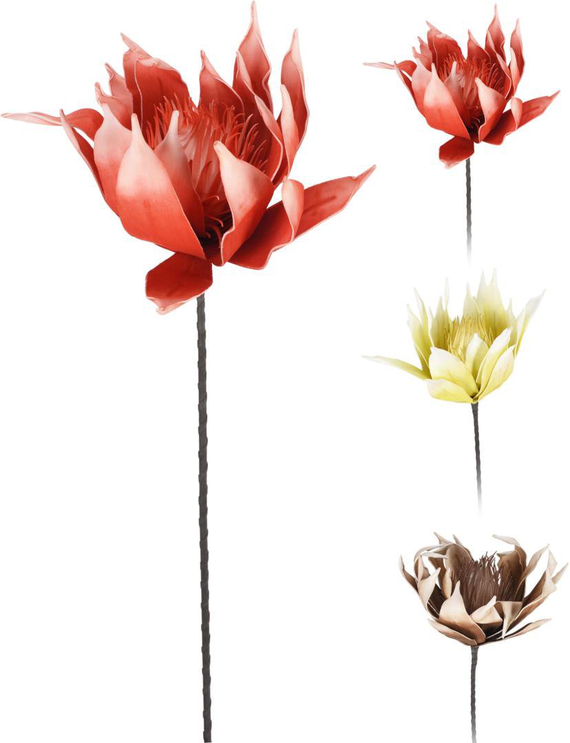 Image of Skrautgrein Protea Roze 81cm 3mism litir 1stk