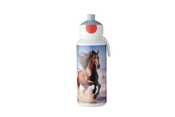 Wild horse