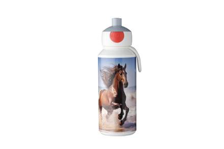 Wild horse