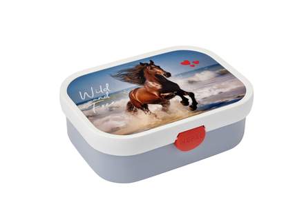 Wild horse