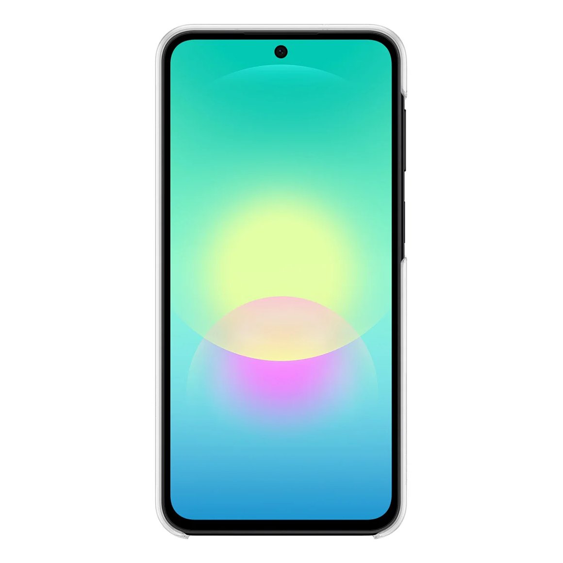 1 Image Preview