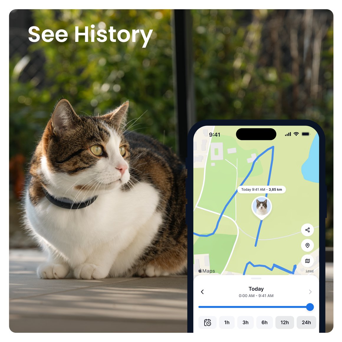 2 Image Preview