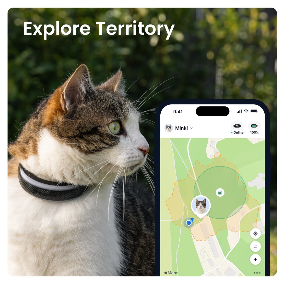 3 Image Preview