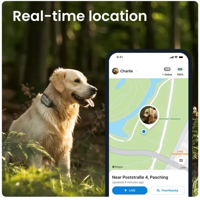 3 Image Preview