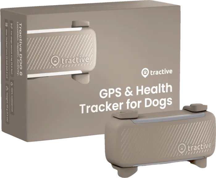 Image of Tractive GPS Staðsetningartæki fyrir hunda, brúnt