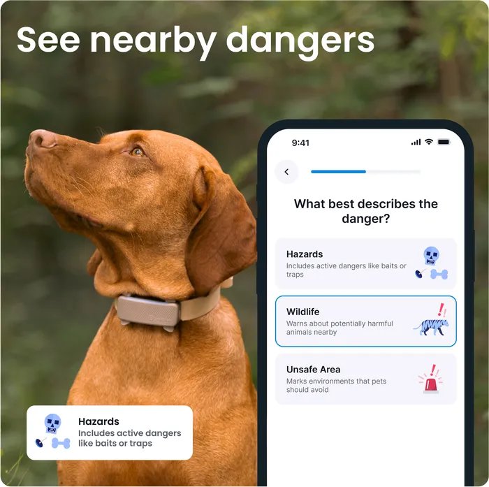 3 Image Preview