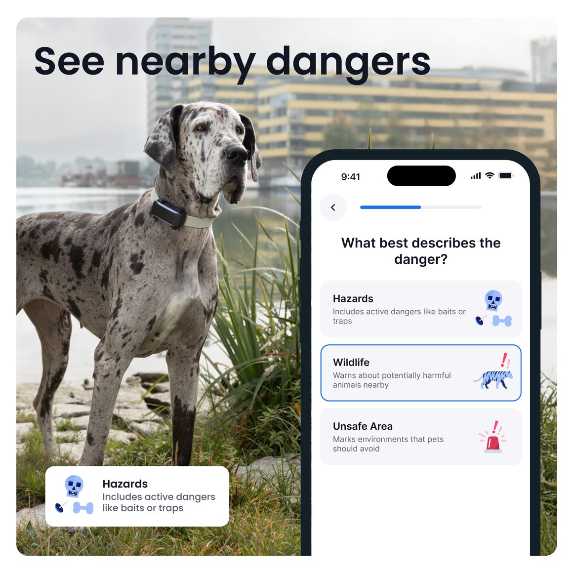 3 Image Preview