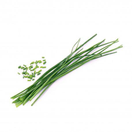 Véritable Graslaukur Lingot lífrænt