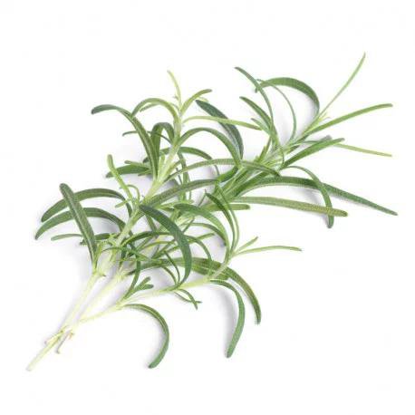Véritable Rósmarín Lingot