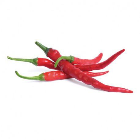 Véritable Sterkur cayenne pipar Lingot
