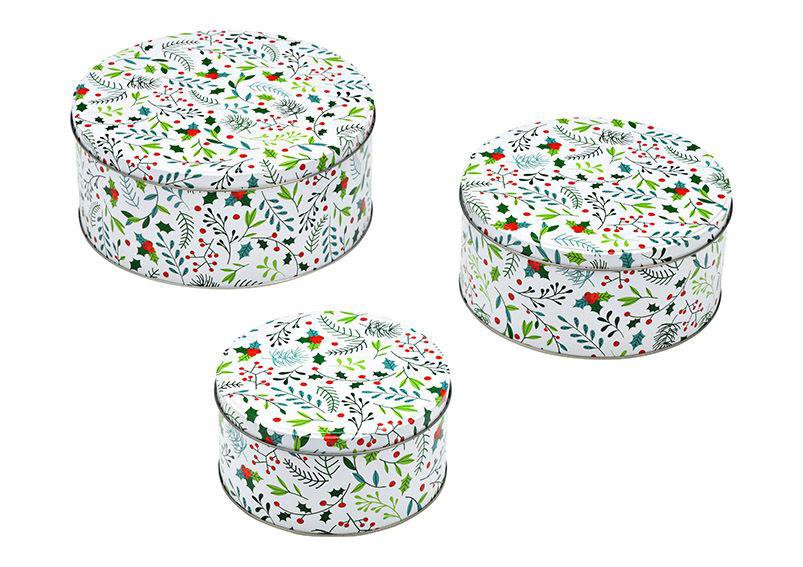 Image of Wurm Kökubox 3stk kringlótt hvítt með grænu mynstri